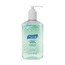 SANITIZER HAND ADV 12OZ W/ALOE, EACH, 12 EA