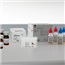 TEST STRIPS HEMASTIX 50/BTL 2190 12BTL/CS
